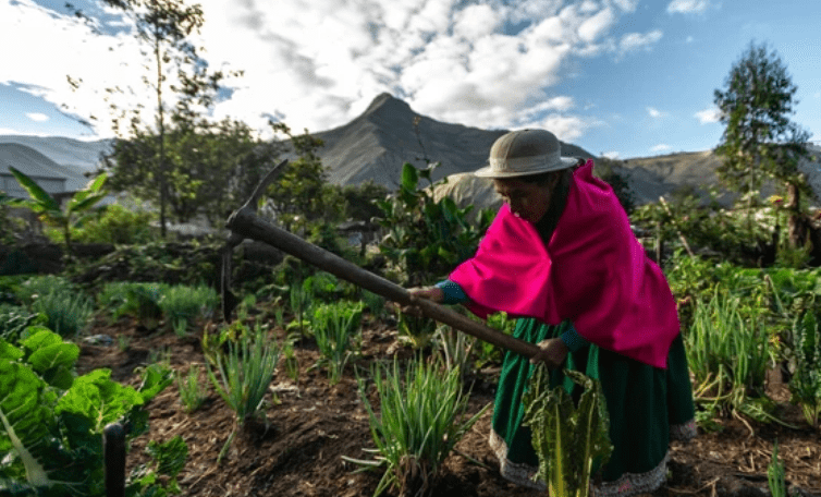 2023-06-05_04_11_50-Nisag_Chimborazo_Ecuador_Circa_2015_Strong_Foto_de_stock_1790343047___Shuttersto-transformed