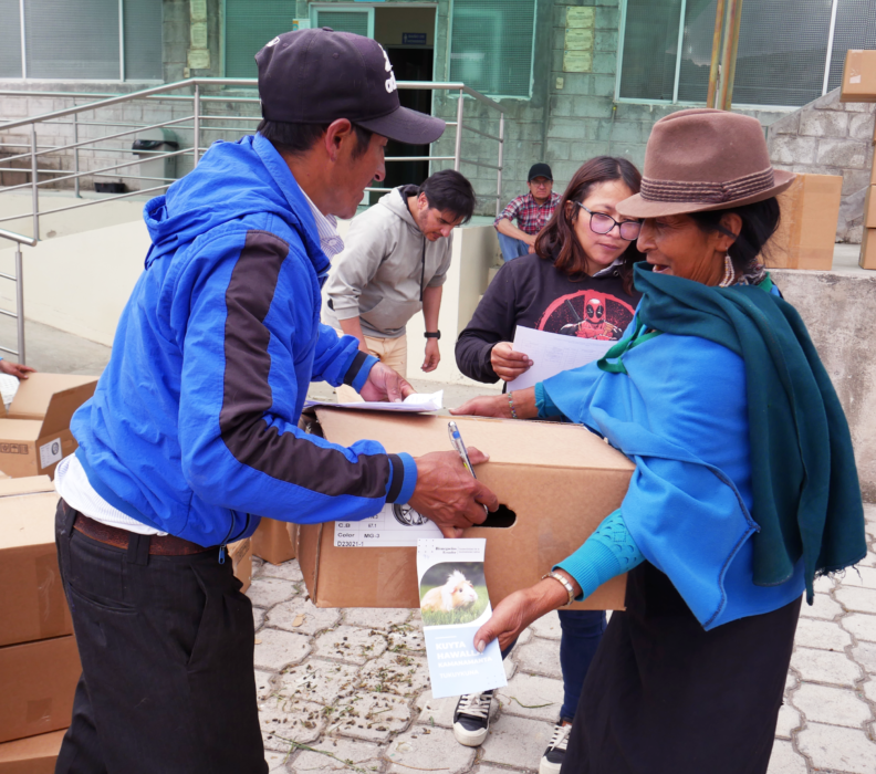 Mujeres productoras de COPROBICH incorporan cuyes a sus chacras para diversificar sus ingresos