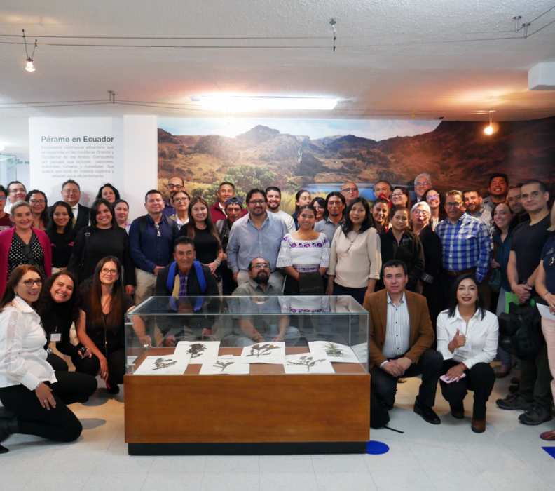 Participantes de la cadena de valor del mortiño cuentan historias de transformación familiar y comunitaria