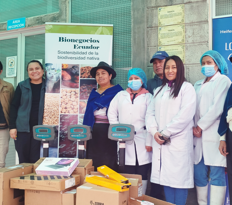 Productores de quinua de Chimborazo mejoran el proceso de trazabilidad