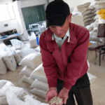 Plan de Negocios: herramienta clave para escalar emprendimientos sostenibles.