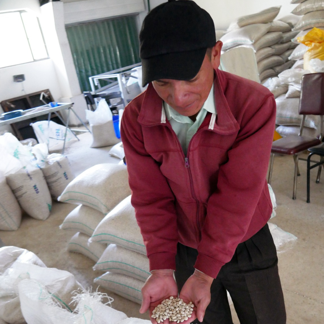 Plan de Negocios: herramienta clave para escalar emprendimientos sostenibles.